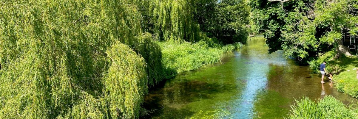 Chalk Stream Wye2 Aspect Ratio 1200 400