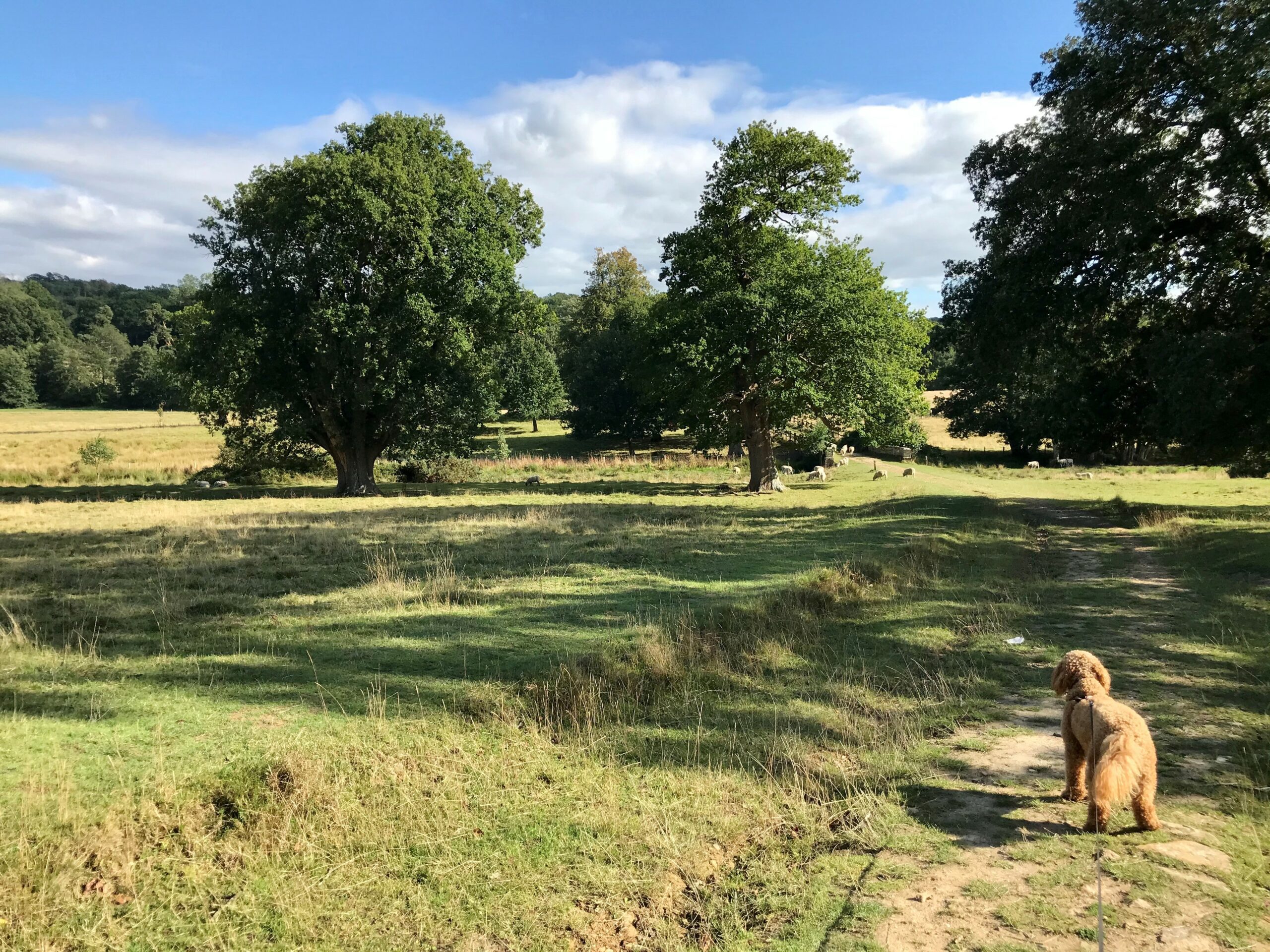 Tunbridge Wells