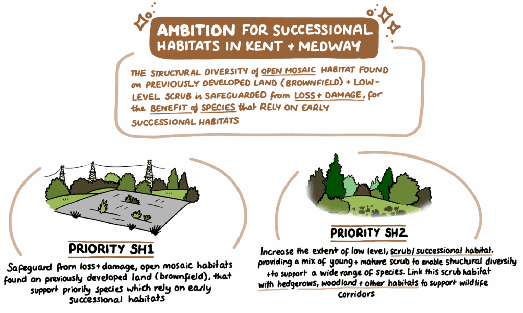 Sucess Landscape