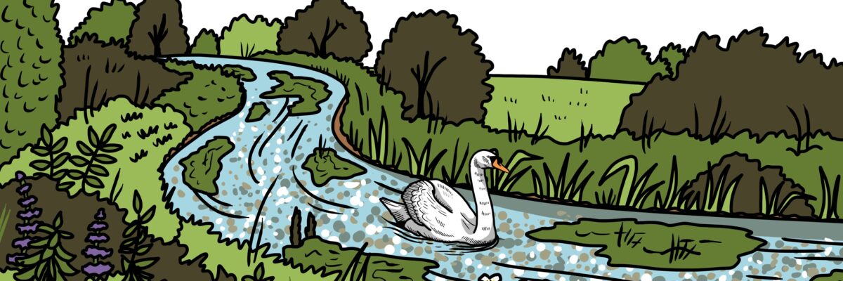 MakingSpaceforNAture_1_Border_2_RiverChalkStreams Copy 3 LR Aspect Ratio 1200 400